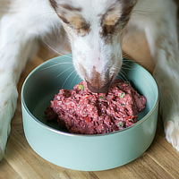 pet-food-fresh-frozen-meat-insects-dog-cat-reptiles-snake-petstop-gawler